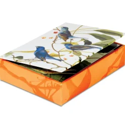 Online The Met Store Audubon Birds Notecards