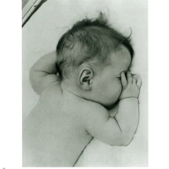 Hot The Met Store Lullabies Songbook and CD