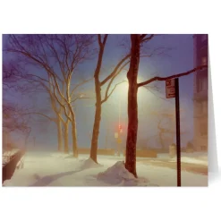 Clearance The Met Store Staller: Sutton Place, New York City Holiday Cards