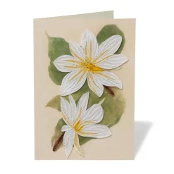 Best The Met Store Studies of Magnolias Quilled Card