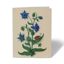Sale The Met Store The Met Cloisters Garden Notecards