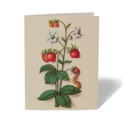 Sale The Met Store The Met Cloisters Garden Notecards