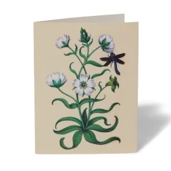 Sale The Met Store The Met Cloisters Garden Notecards