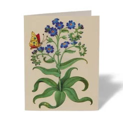Sale The Met Store The Met Cloisters Garden Notecards